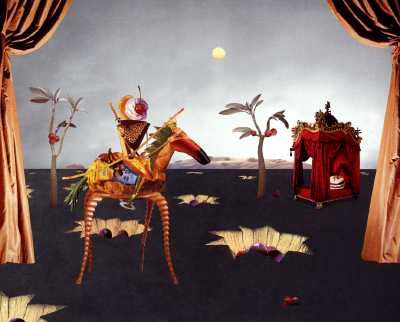 CAVALIERE DOLCE